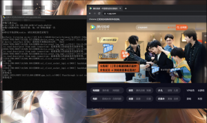 落叶博客-腾讯视频cookie自动获取工具